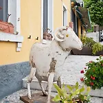 Dolada Boutique 3*